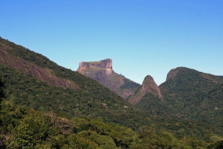 Tijuca