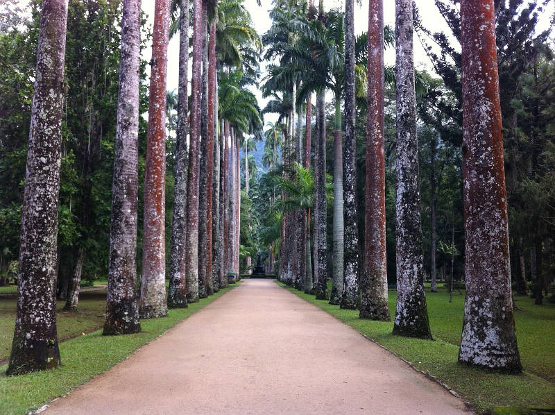 Jardim Botanico